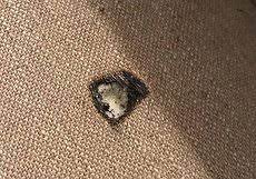 تعمیر سوراخ لباس